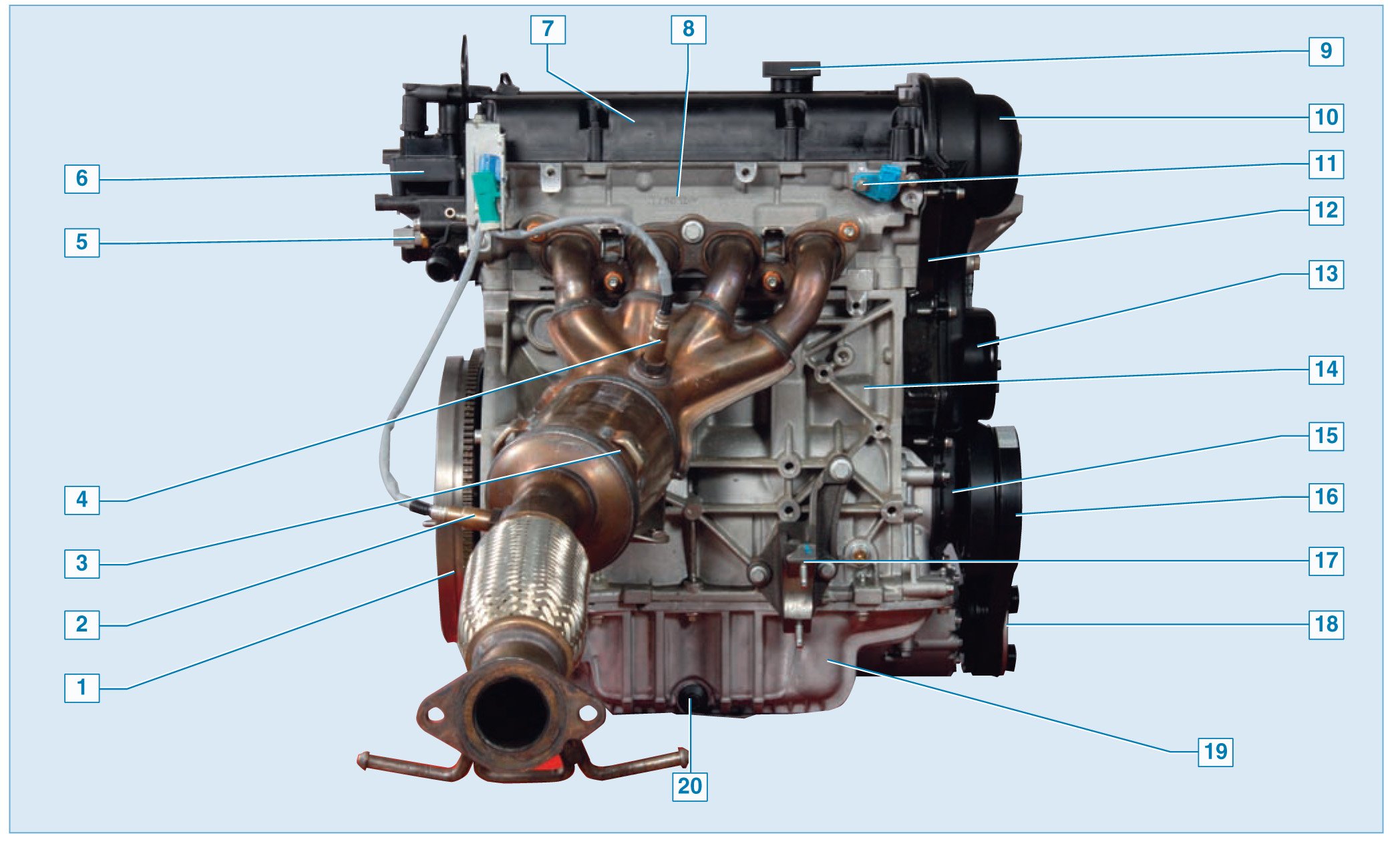Датчики двигателя Форд фокус 2 1.6 115 л.с