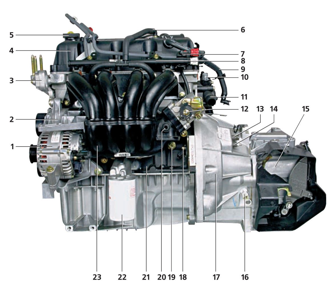 Двигатель Рено Логан 1.4 8 клапанов датчики