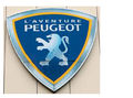 Компания Peugeot 114-3.jpg